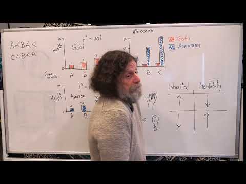 Miniatura del vídeo: 8. Human Behavioral Biology: Behavioral Genetics 2 by Robert Sapolsky