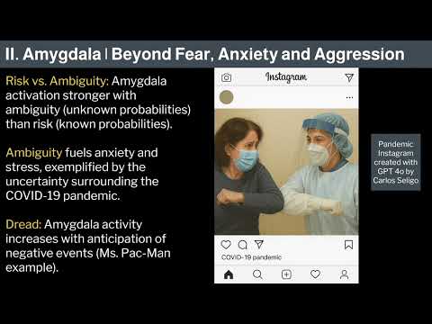Miniatura del vídeo: 13. Human Behavioral Biology: Limbic System 3 by Robert Sapolsky