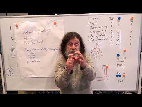 Miniatura del vídeo: 17. Human Behavioral Biology: Emergence 1 by Robert Sapolsky