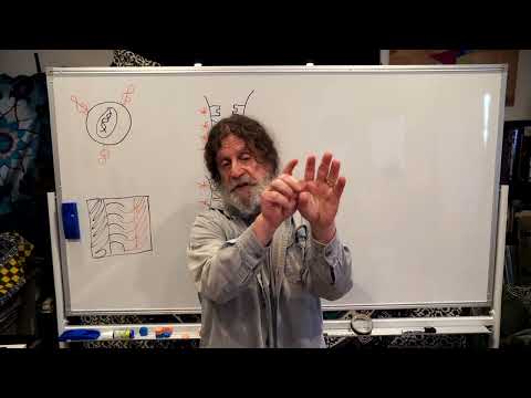 Miniatura del vídeo: 4. Human Behavioral Biology: Evolution of Behavior 3 by Robert Sapolsky
