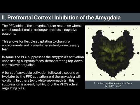 Miniatura del vídeo: 14. Human Behavioral Biology: Limbic System 4 by Robert Sapolsky