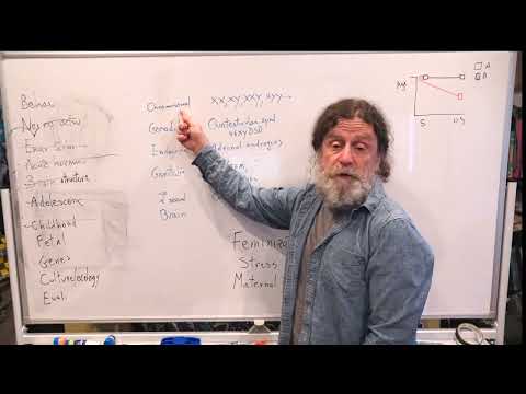 Miniatura del vídeo: 21. Human Behavioral Biology: Sexuality 3 by Robert Sapolsky