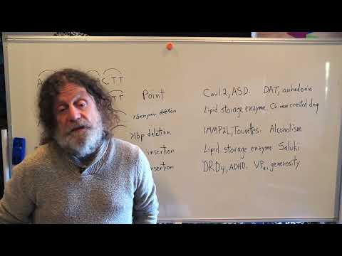 Miniatura del vídeo: 5. Human Behavioral Biology: Molecular Behavior Genetics 1 by Robert Sapolsky