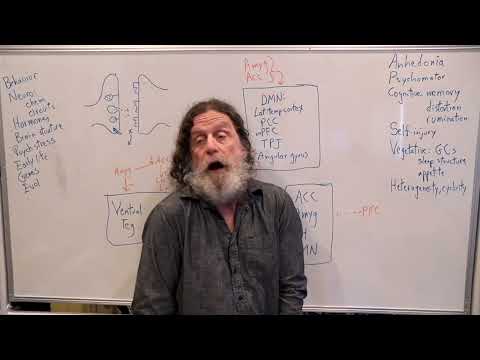 Miniatura del vídeo: 29. Depression by Robert Sapolsky
