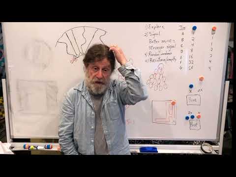 Miniatura del vídeo: 18. Human Behavioral Biology: Emergence 2 by Robert Sapolsky