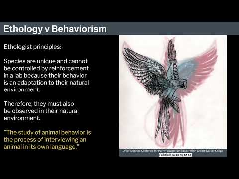 Miniatura del vídeo: 9. Human Behavioral Biology: Ethology 1 by Robert Sapolsky