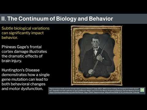 Miniatura del vídeo: 32. Individual Differences by Robert Sapolsky